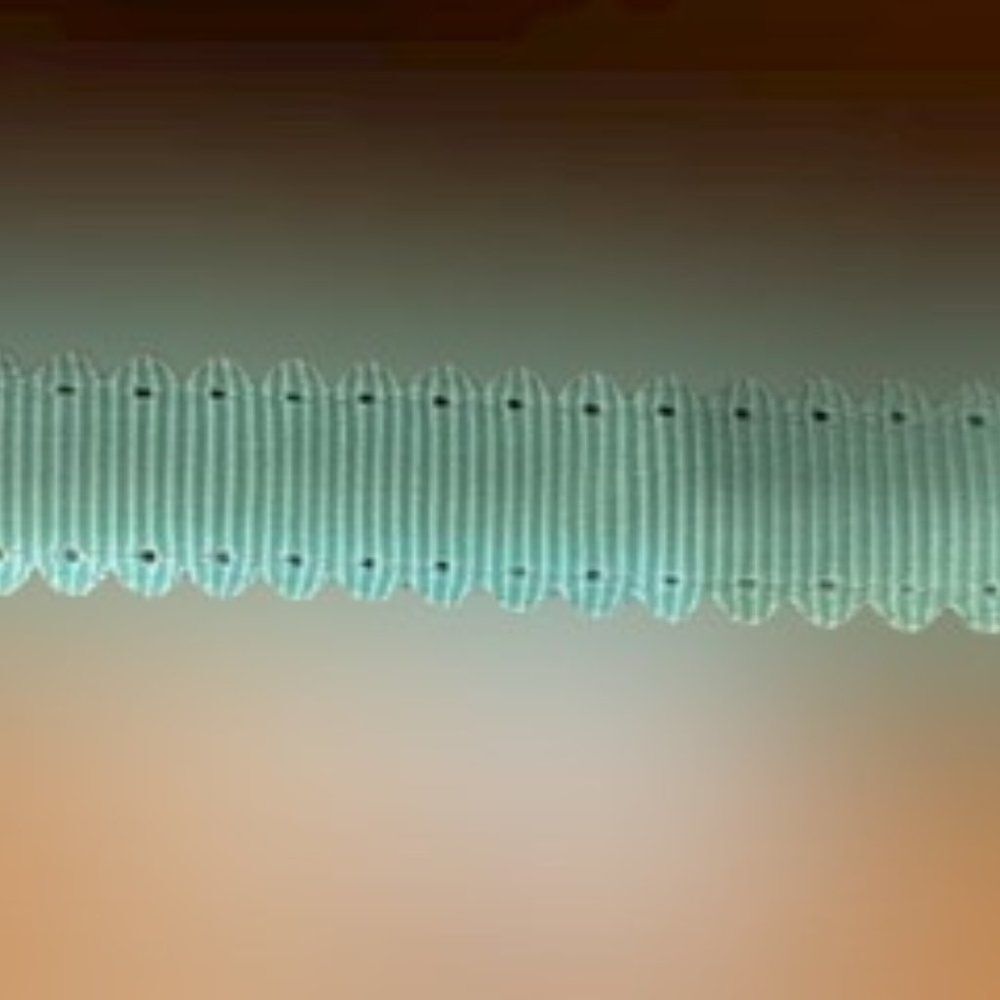 Mint Grosgrain Ribbon with Scalloped Edges  38R354  ****ALL RIBBONS BUY 2 GET 1